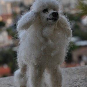 Custom Dog portrait. Memorial Needle felted dog. image 4