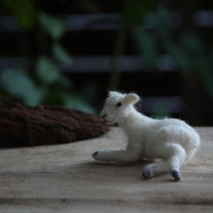 Needle felted animal, Tiny lamb, Needle felt animals, Felted lamb, For custom orders image 7