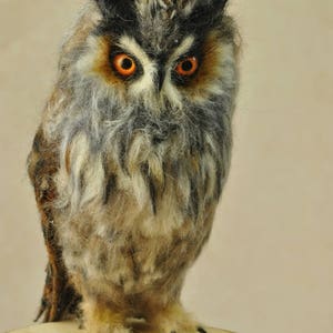Needle felted owl. Long-eared Owl. Made to order image 3