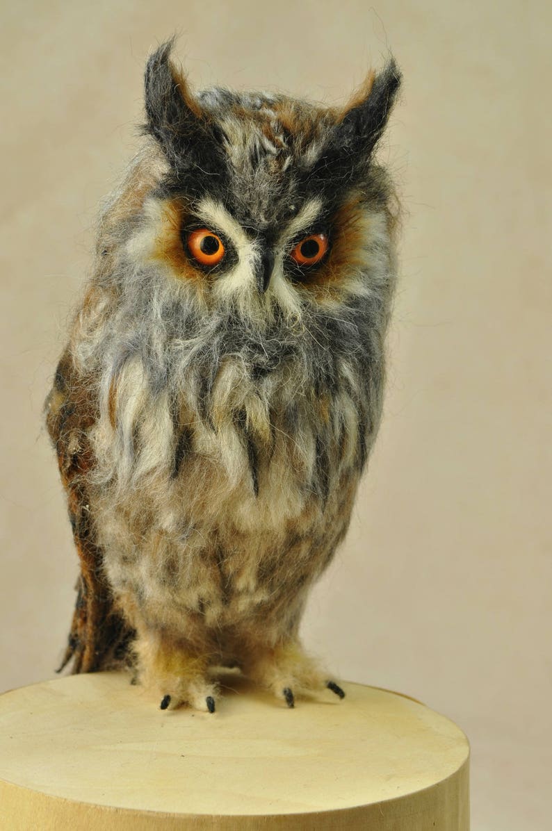 Needle felted owl. Long-eared Owl. Made to order image 3