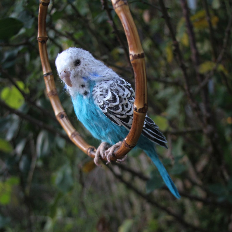 Wellensittich. Papagei Vogel Nadelgefilzter Vogel Vogel Skulptur Blauer Wellensittich Nadelgefilzter Wellensittich Bild 1