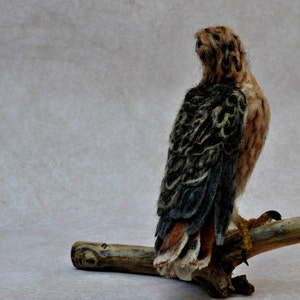 Needle Felted Bird Needle felted Red Tailed hawk Wild Bird Felt bird Bird Lovers Bird made to your order image 5