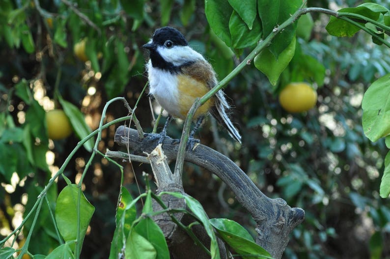 Needle felted Chickadee bird. Made to order. image 8