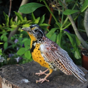 Needle Felted Bird - Western Meadowlark Sculpture, Wild Bird, Backyard Bird,Songbird, Collectible, Nature Decor