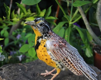 Needle Felted Bird - Western Meadowlark Sculpture, Wild Bird, Backyard Bird,Songbird, Collectible, Nature Decor