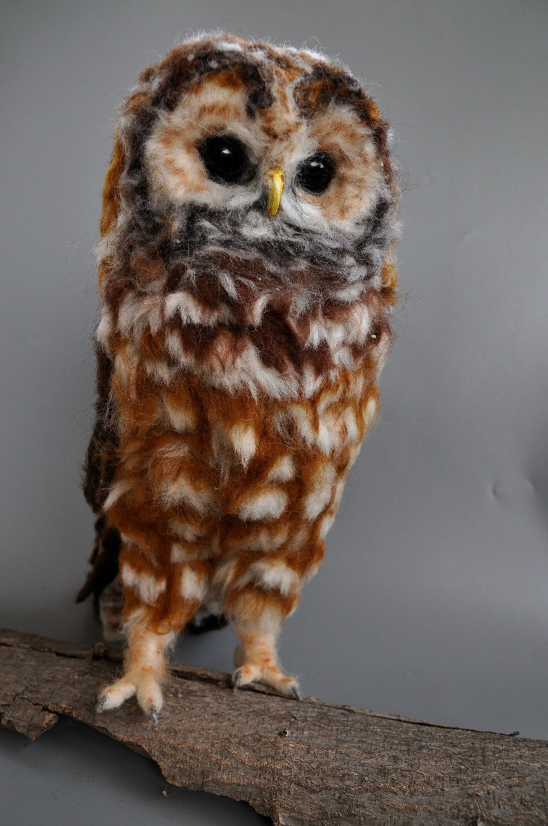 Needle Felted Owl. Mexican spotted owl. image 8