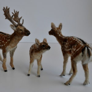 Needle Felted Animal. English fallow deer . needle felted deer sculpture, Deer Made to order image 5