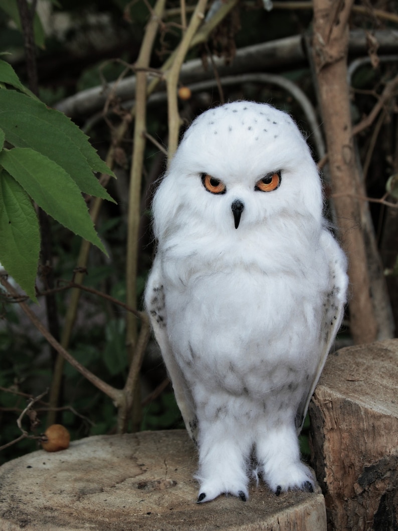 Needle Felted Bird. White felt Owl . Needle felted owl. image 8