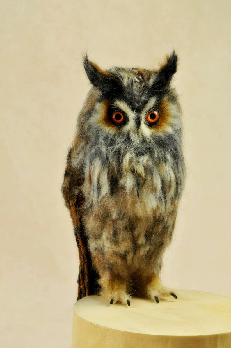 Needle felted owl. Long-eared Owl. Made to order image 4