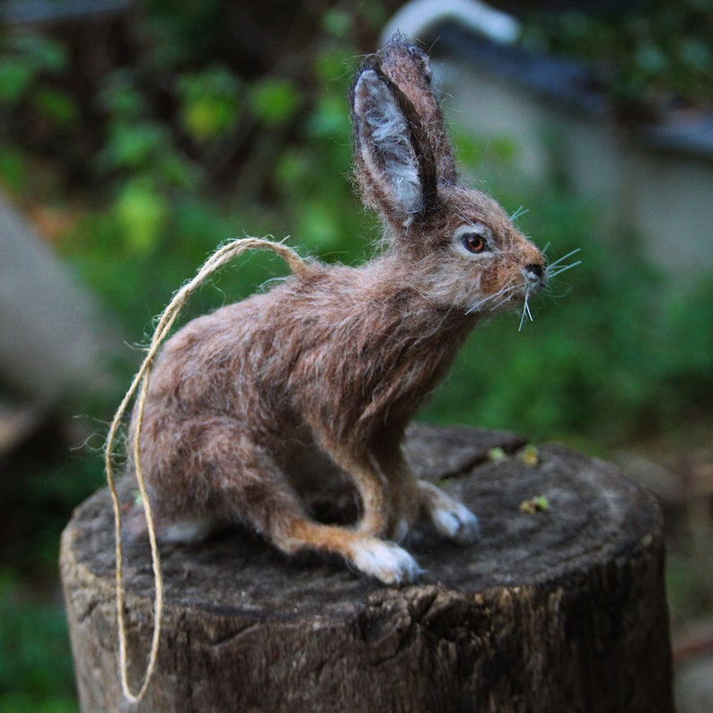 Needle felted animal, Felted rabbit, Needle felted bunny ,Needle felted rabbit, Wool Felt Animals. Jackrabbit. Made to order image 10
