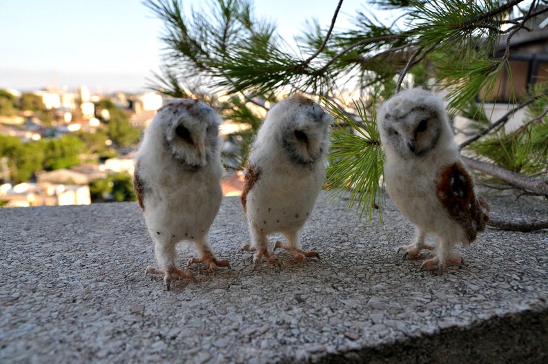 Needle Felted Owl . Needle felted tiny owl .Needle felt realistic owl. .Barn owl. Animal lover gift image 3