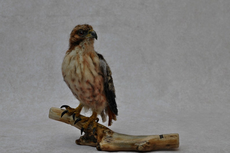 Needle Felted Bird Needle felted Red Tailed hawk Wild Bird Felt bird Bird Lovers Bird made to your order image 4