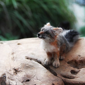 Needle Felted Animals. Sitting Gray fox. Felted fox. Needle felted fox. Made to order image 5