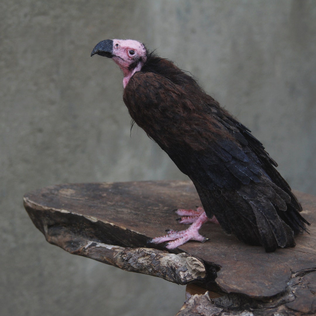 Everlast 牛柄 ボクシンググローブ 12oz Vulture Needle Felted Bird. Red Headed Vulture. Made to Order - Etsy