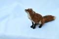 Unique Red Fox Sculpture - Beautiful Needle Felted Small Animal - Artificial Sitting Fox Wool sculpture  Cute Fiber Felt Art -Education Gift product logo
