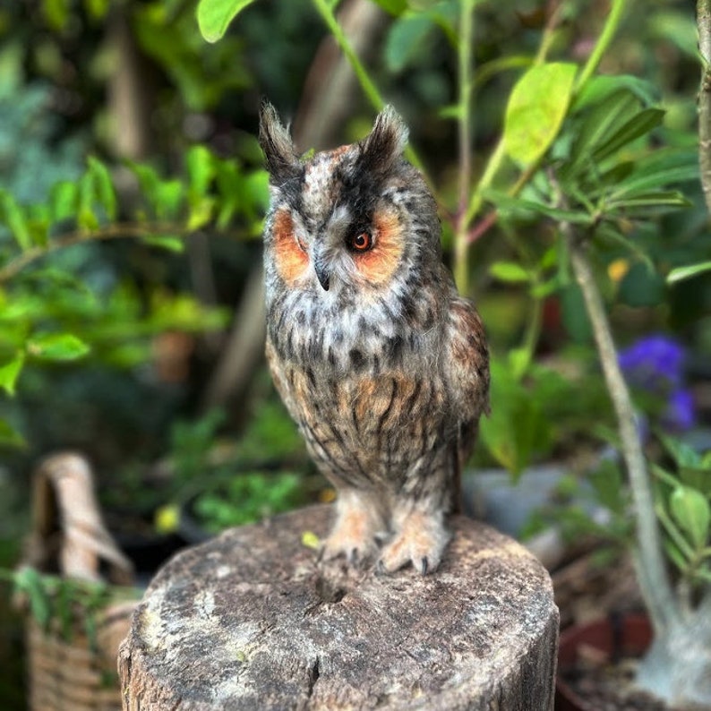 Needle felted owl. Long-eared Owl. Made to order image 10