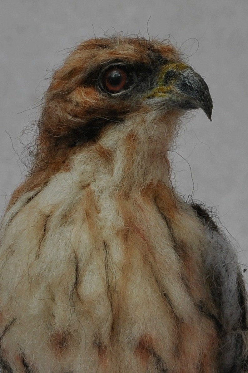 Needle Felted Bird Needle felted Red Tailed hawk Wild Bird Felt bird Bird Lovers Bird made to your order image 2