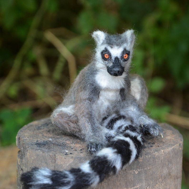 Needle felted Ring Tailed Lemur. Needle felted animal. Animal art sculpturet image 3