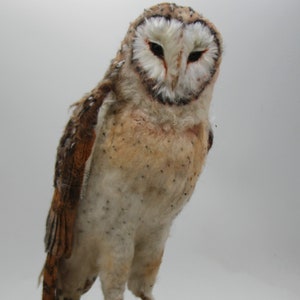 Modern Wool Felted Barn Owl Large Size Realistic Needle Felting Owls Sculpture Artificial Fancy / Cute Birds Fiber Art Beautiful Gift image 3