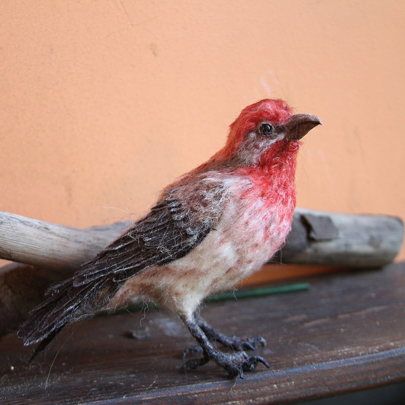 Needle Felted bird. House finch . image 5