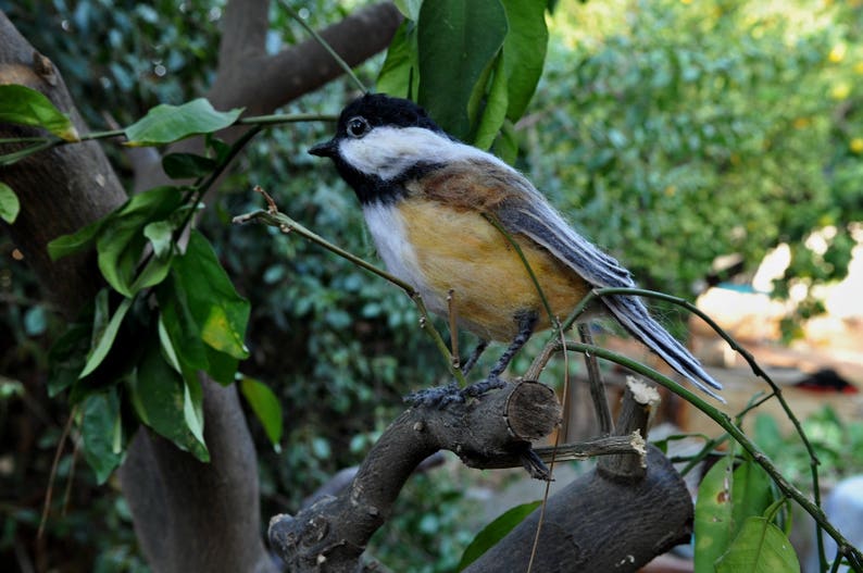 Needle felted Chickadee bird. Made to order. image 6