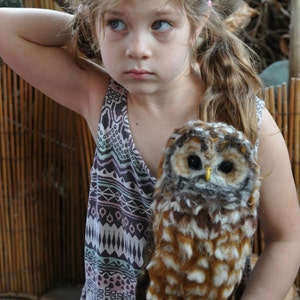 Needle Felted Owl. Mexican spotted owl. image 7