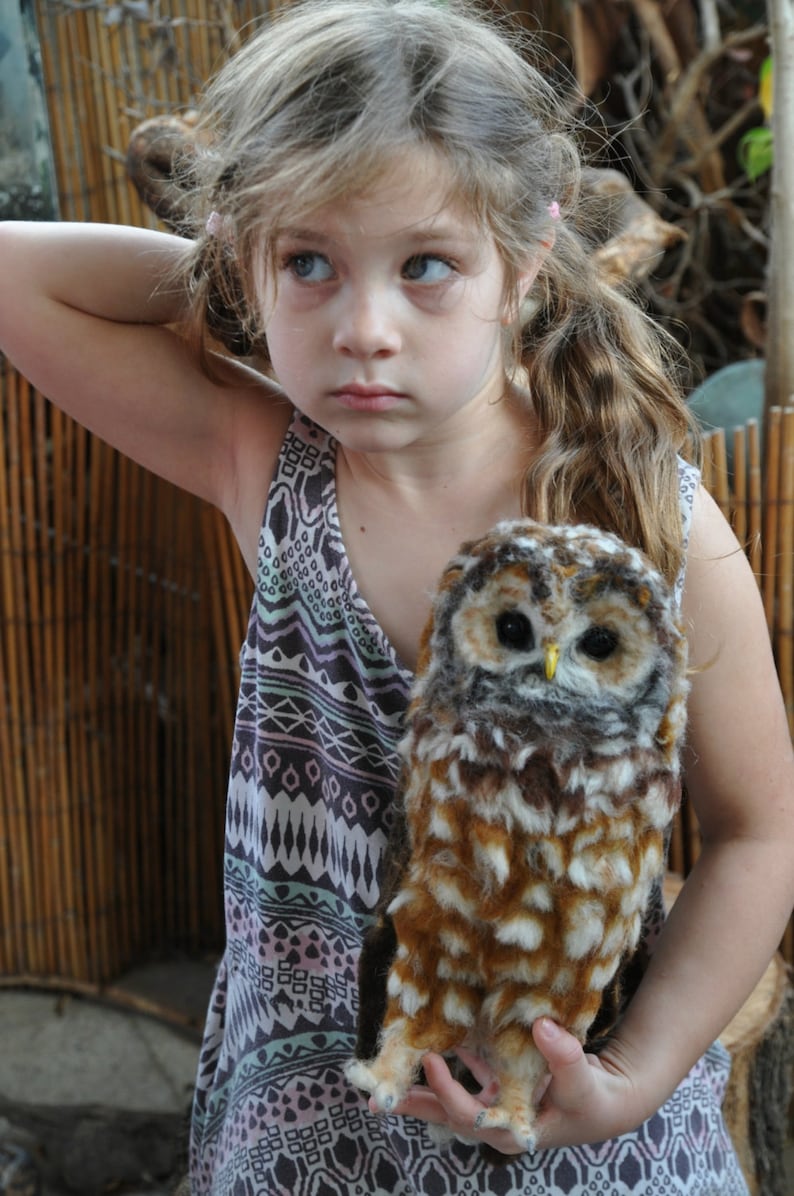 Needle Felted Owl. Mexican spotted owl. image 7