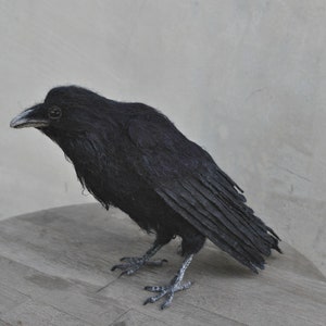 Needle Felted bird. Black raven. image 1