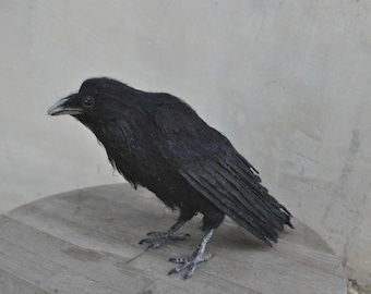 Needle Felted  bird. Black raven.