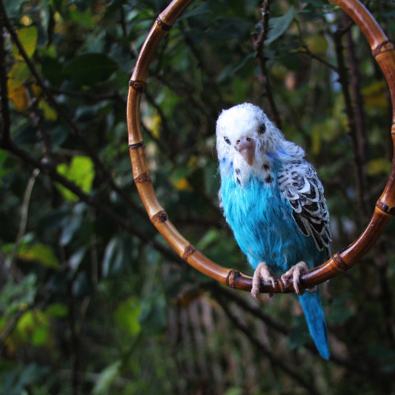 Wellensittich. Papagei Vogel Nadelgefilzter Vogel Vogel Skulptur Blauer Wellensittich Nadelgefilzter Wellensittich Bild 5