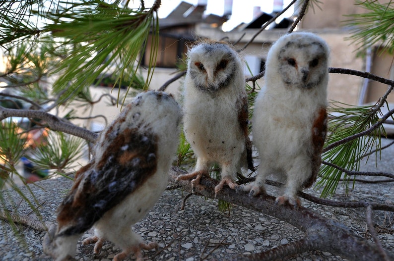 Needle Felted Owl . Needle felted tiny owl .Needle felt realistic owl. .Barn owl. Animal lover gift image 4