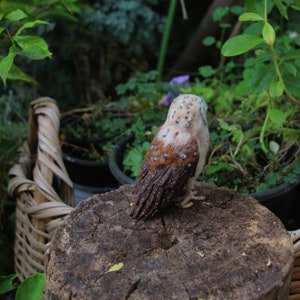 Needle Felted Owl . Needle felted tiny owl .Needle felt realistic owl. .Barn owl. Animal lover gift image 7