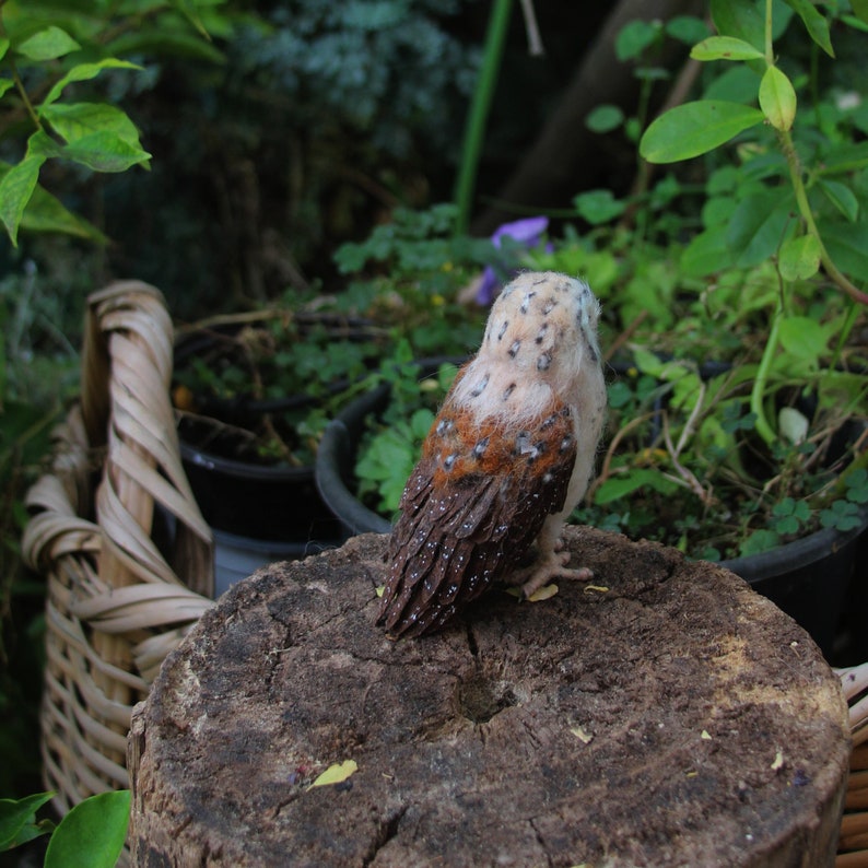 Needle Felted Owl . Needle felted tiny owl .Needle felt realistic owl. .Barn owl. Animal lover gift image 7