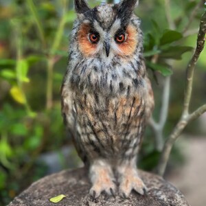 Needle felted owl. Long-eared Owl. Made to order image 6