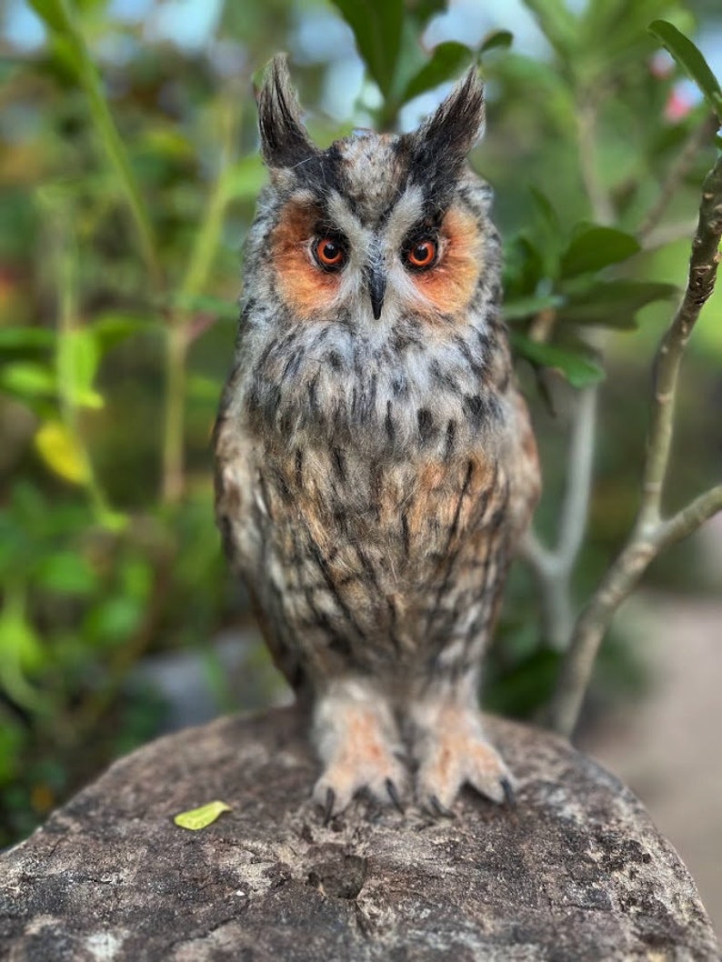 Needle felted owl. Long-eared Owl. Made to order image 6