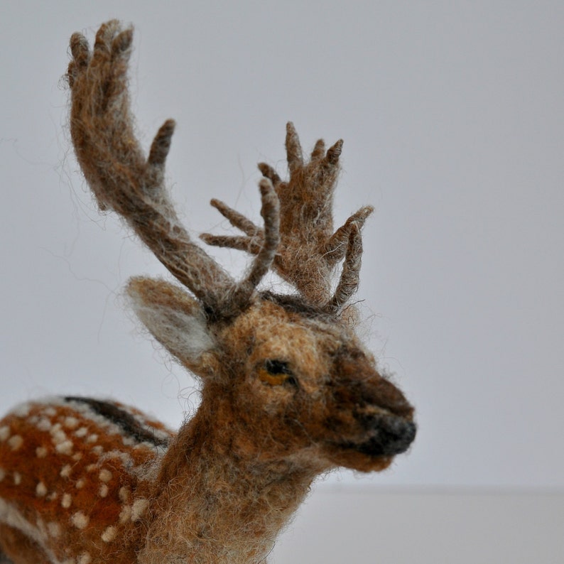 Needle Felted Animal. English fallow deer . needle felted deer sculpture, Deer Made to order image 3