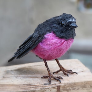 Needle Felted  Bird/Needle felted Pink Robin/Wool Needle Felted Bird Sculpture/Realistic Needle Felted Bird/ Australian bird/Life size.