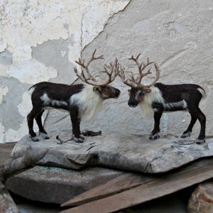 Needle felted animals. Needle Felted Reindeer. Needle felted soft sculpture. Needle felt by Daria Lvovsky image 8