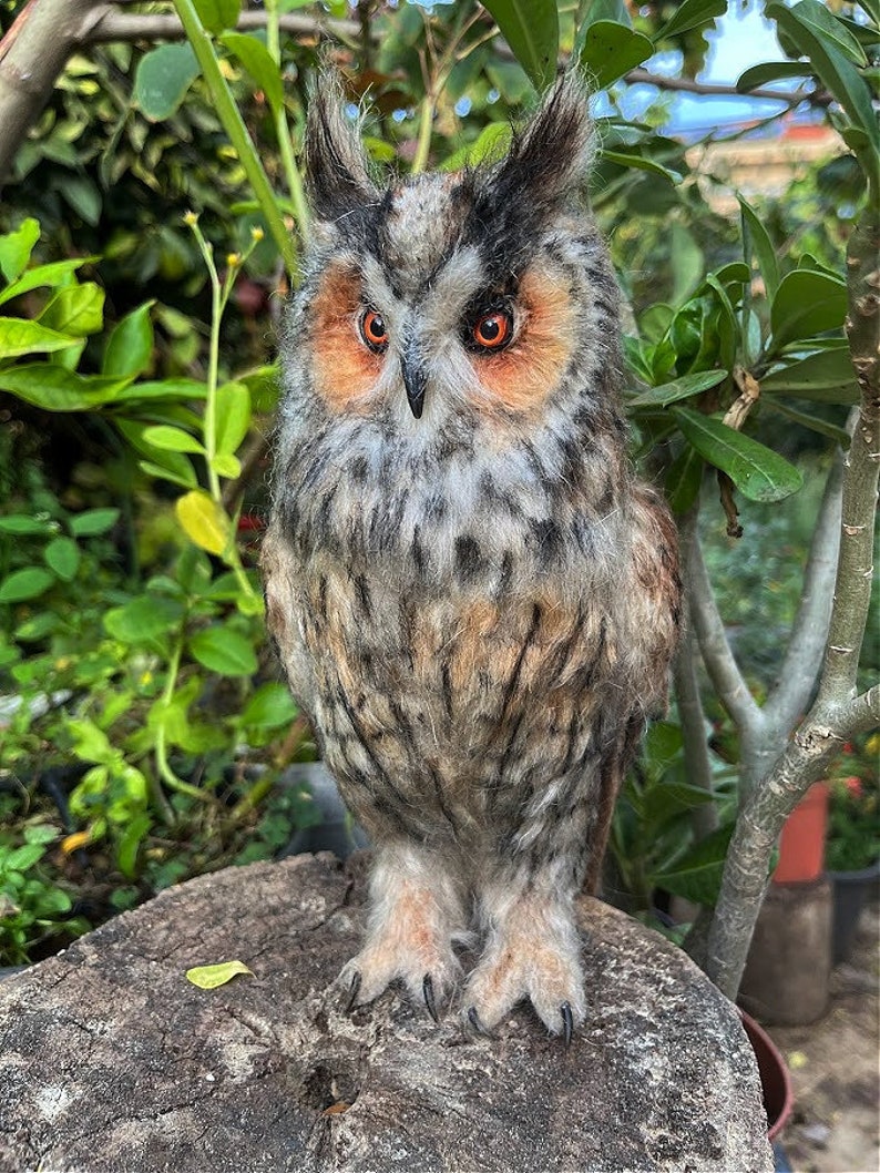 Needle felted owl. Long-eared Owl. Made to order image 5