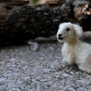 Needle felted animal, Tiny lamb, Needle felt animals, Felted lamb, For custom orders image 5