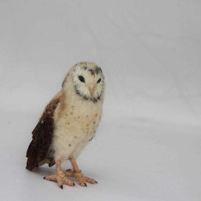 Needle Felted Owl . Needle felted tiny owl .Needle felt realistic owl. .Barn owl. Animal lover gift image 8