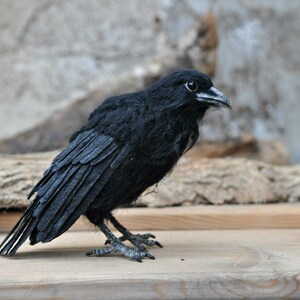 Needle Felted bird. Black raven. image 4