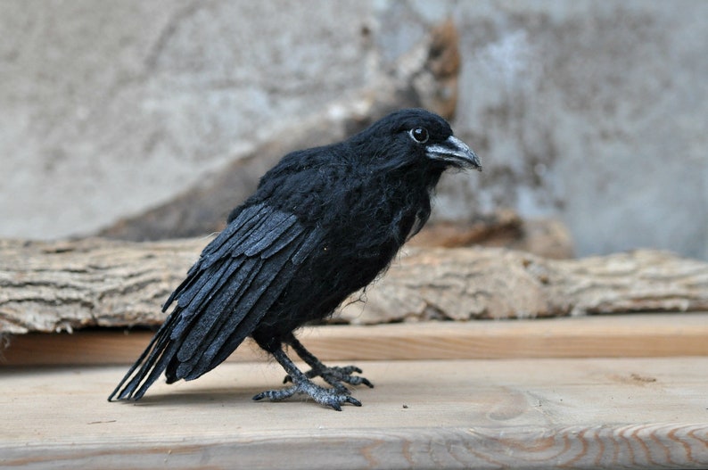 Needle Felted bird. Black raven. image 4