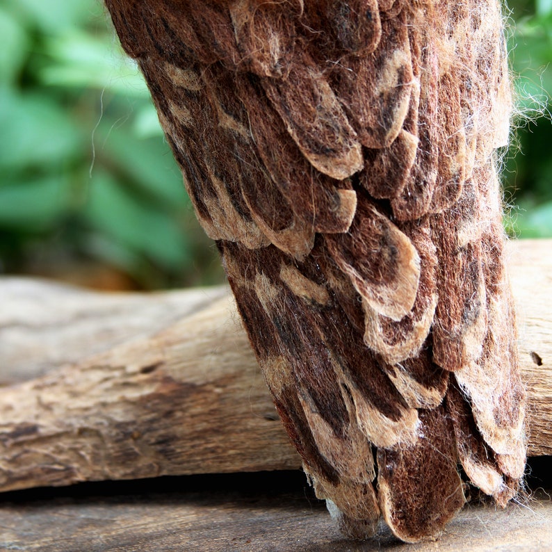 Needle Felted Owl. Mexican spotted owl. image 4