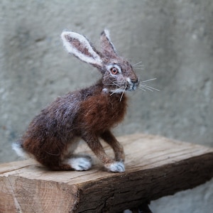 Needle Felted Jackrabbit: Wool Animal Sculpture, Made to Order.