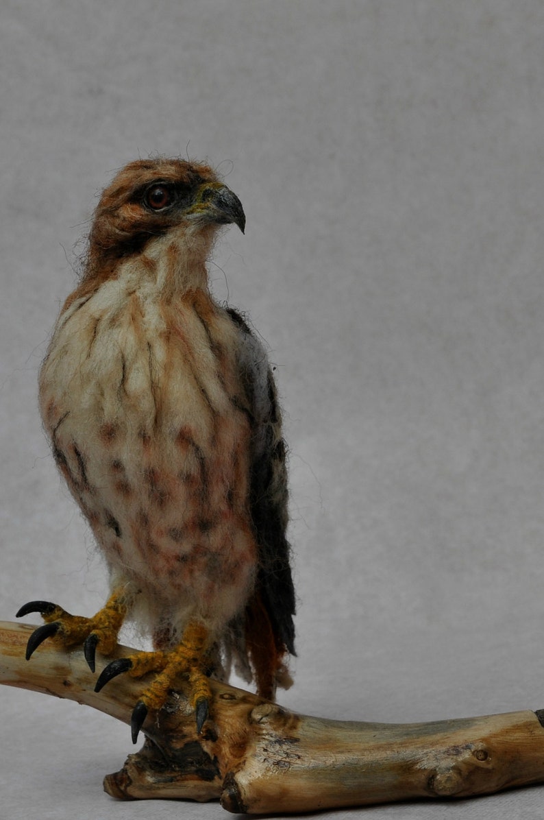 Needle Felted Bird Needle felted Red Tailed hawk Wild Bird Felt bird Bird Lovers Bird made to your order image 3