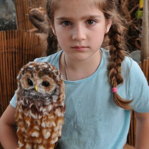 Needle Felted Owl. Mexican spotted owl. image 9