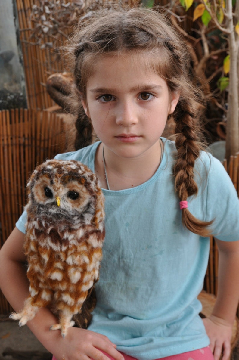 Needle Felted Owl. Mexican spotted owl. image 9