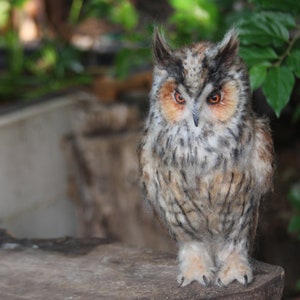 Needle felted owl. Long-eared Owl. Made to order image 8