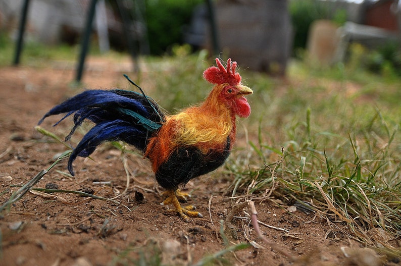 Needle felted Bird . Needle Felted Rooster. Needle felt by Daria Lvovsky image 3